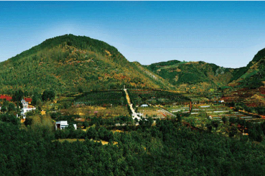 山形